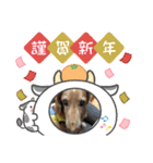 れおさんスタンプ⑥（個別スタンプ：6）
