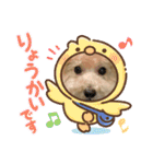 トイプー。ロコのフォトスタンプ3（個別スタンプ：2）