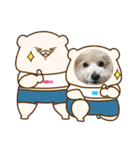トイプー。ロコのフォトスタンプ3（個別スタンプ：8）