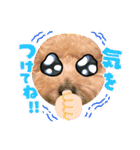 トイプー。ロコのフォトスタンプ3（個別スタンプ：35）