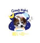 パピヨンのアゲハ＆ビッキー♡（個別スタンプ：6）