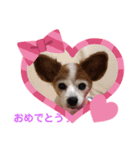 パピヨンのアゲハ＆ビッキー♡（個別スタンプ：19）