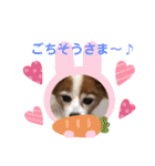 パピヨンのアゲハ＆ビッキー♡（個別スタンプ：21）