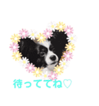 パピヨンのアゲハ＆ビッキー♡（個別スタンプ：30）