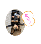 いちごちゃんの気持ち（個別スタンプ：4）