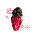 いちごちゃんの気持ち（個別スタンプ：6）