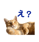猫のニックのスタンプ（個別スタンプ：22）