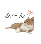 ゆるりんおまめ その4（個別スタンプ：4）