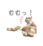 ゆるりんおまめ その4（個別スタンプ：11）