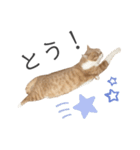 ゆるりんおまめ その4（個別スタンプ：12）