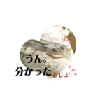 かわいいシマドジョウ8（個別スタンプ：5）