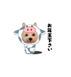 わんこのお正月（個別スタンプ：1）