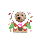 わんこのお正月（個別スタンプ：2）