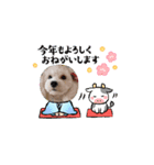 わんこのお正月（個別スタンプ：3）