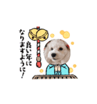 わんこのお正月（個別スタンプ：4）