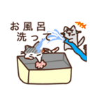 さばねこ6（個別スタンプ：9）