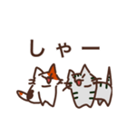 さばねこ6（個別スタンプ：16）