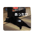k.n オリジナル4（個別スタンプ：6）