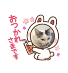 k.n オリジナル4（個別スタンプ：8）