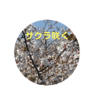 k.n オリジナル4（個別スタンプ：9）