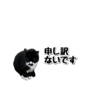 靴下猫のソックス♂と愉快な仲間達（個別スタンプ：22）