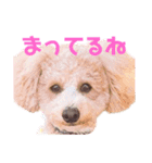 ウィル(418)2（個別スタンプ：3）