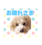 ウィル(418)2（個別スタンプ：8）