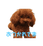 みみ(414)（個別スタンプ：5）