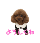 みみ(414)（個別スタンプ：7）