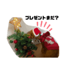 ララのクリスマス＆お正月（個別スタンプ：1）