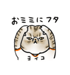 ぶりたぶっこしげる（個別スタンプ：36）