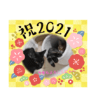 愛しのニャンズすたんぷ（個別スタンプ：3）