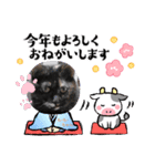愛しのニャンズすたんぷ（個別スタンプ：5）