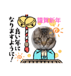 愛しのニャンズすたんぷ（個別スタンプ：6）