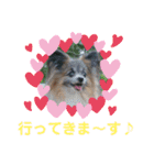 パピヨンのアリス♪part 2（個別スタンプ：10）