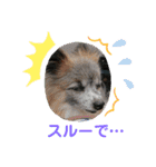 パピヨンのアリス♪part 2（個別スタンプ：19）