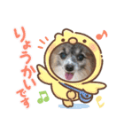 パピヨンのアリス♪part 2（個別スタンプ：27）