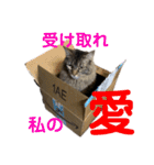 PJ＆POCHI＆KAYO /2（個別スタンプ：30）