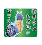 快調ハシビロコウ めでたい（個別スタンプ：12）