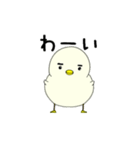 眉ひよこ（個別スタンプ：13）