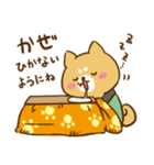 柴犬のお正月（個別スタンプ：4）