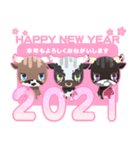 十二支スタンプ丑:2021年のご挨拶（個別スタンプ：3）