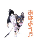 ウタ(415)2回目（個別スタンプ：1）
