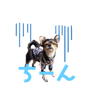 ウタ(415)2回目（個別スタンプ：6）
