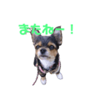 ウタ(415)2回目（個別スタンプ：7）