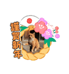 年賀スタンプ2021-スミリディ（個別スタンプ：6）