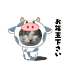年賀スタンプ2021-スミリディ（個別スタンプ：7）