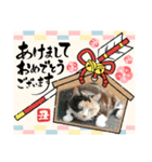 年賀スタンプ2021-スミリディ（個別スタンプ：10）
