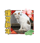 年賀スタンプ2021-スミリディ（個別スタンプ：12）