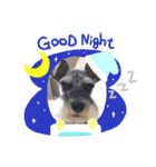 Atom’s LINE stickers-①（個別スタンプ：7）